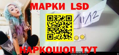 амф Дубна
