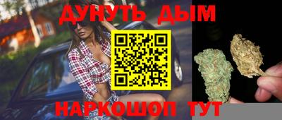 амф Дубна