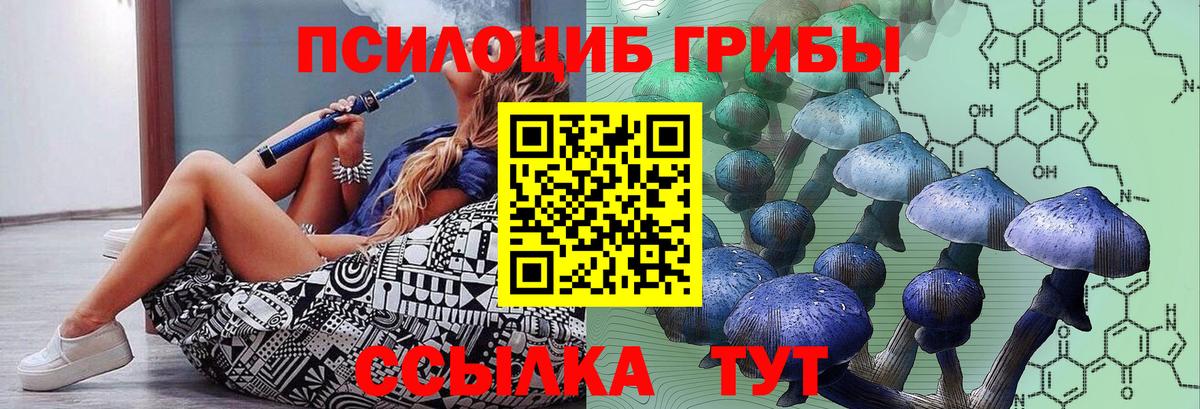 Галлюциногенные грибы GOLDEN TEACHER Курчалой