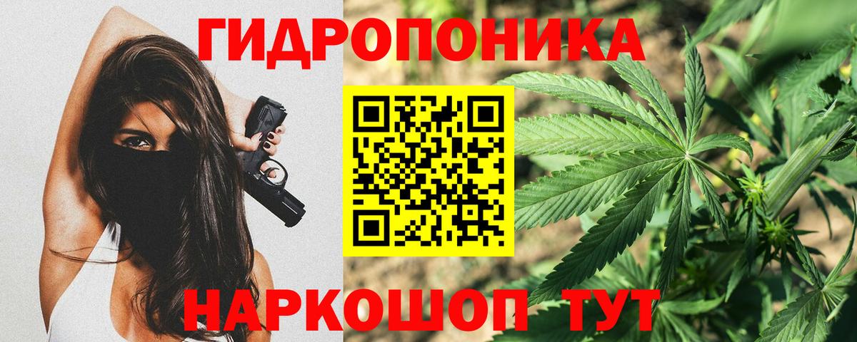 Каннабис план Курчалой